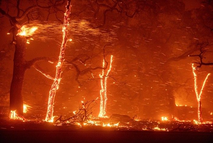 Fire and flood