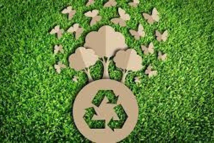Waste and recycling